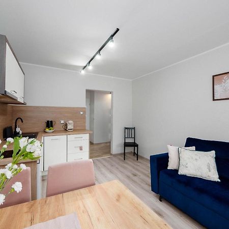 Best Choice 2-Bedroom Apartment Płock エクステリア 写真