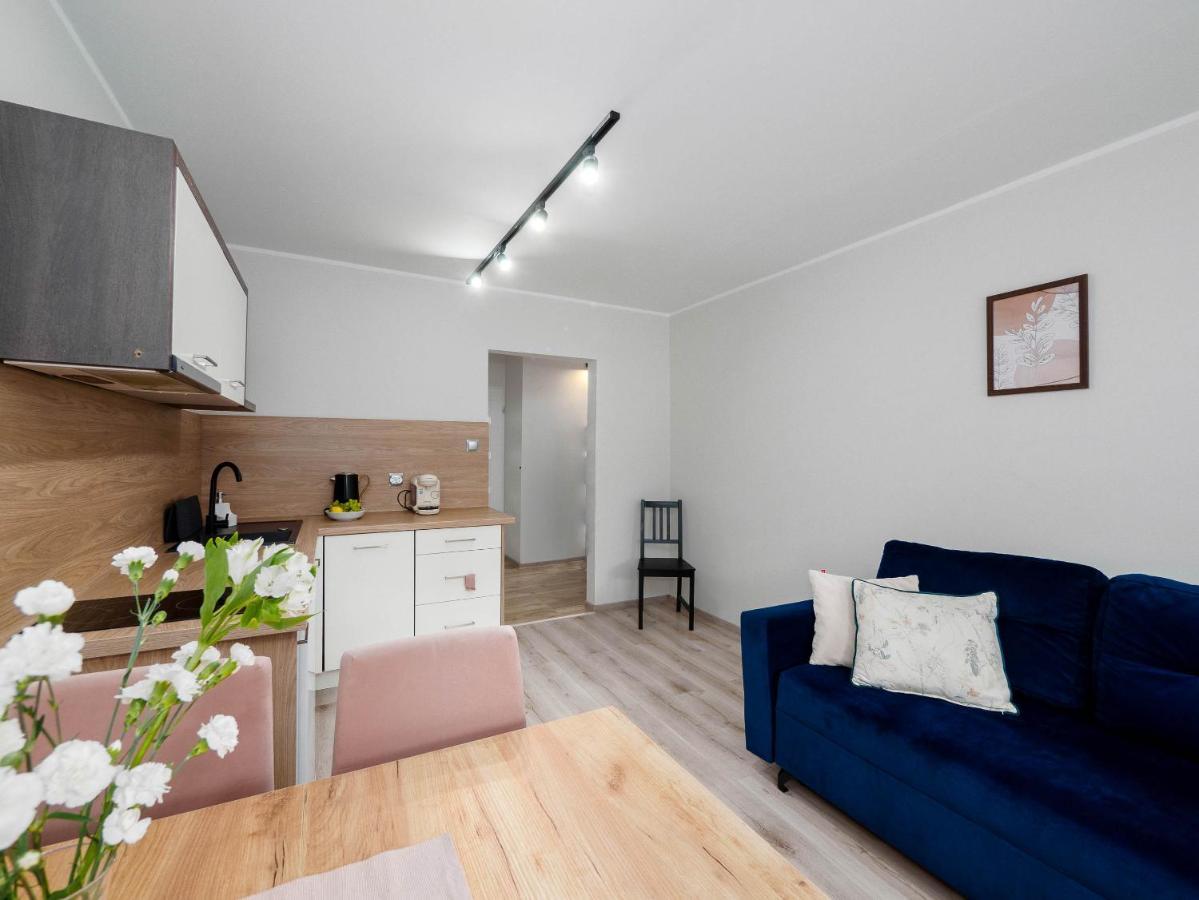 Best Choice 2-Bedroom Apartment Płock エクステリア 写真